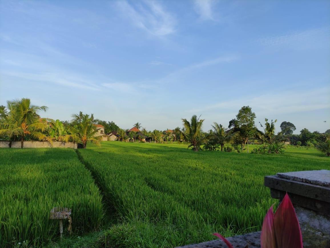 Anggarakasih Ubud Villa Exterior foto